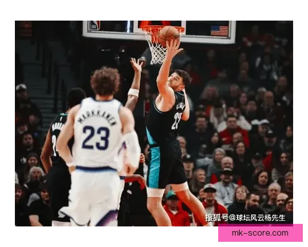 从杨瀚森学到的中文词汇与阿夫迪亚乐福之间的精彩对话分析
